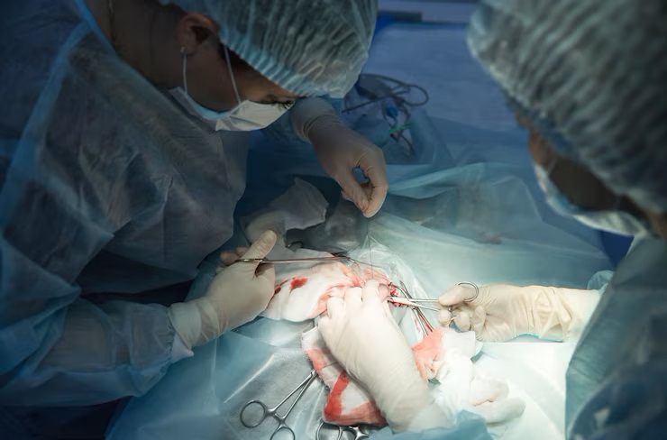 General and Gynecological Surgeries